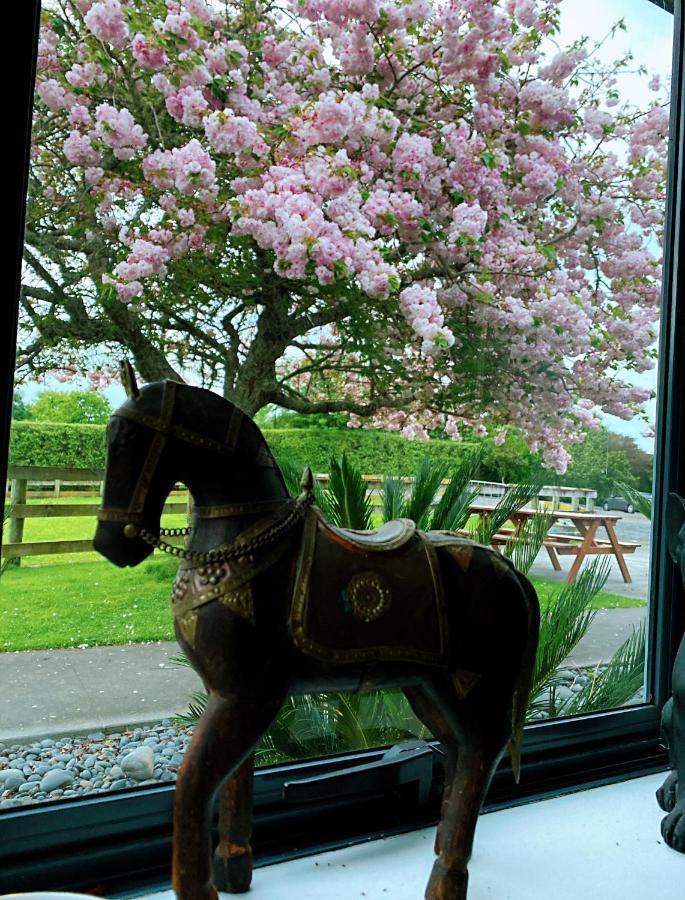 Unique Equestrian Lifestyle Bed & Breakfast Tamahere Bagian luar foto