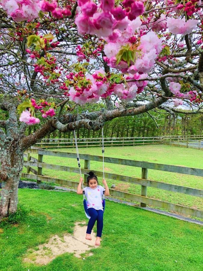Unique Equestrian Lifestyle Bed & Breakfast Tamahere Bagian luar foto