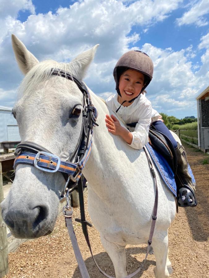 Unique Equestrian Lifestyle Bed & Breakfast Tamahere Bagian luar foto